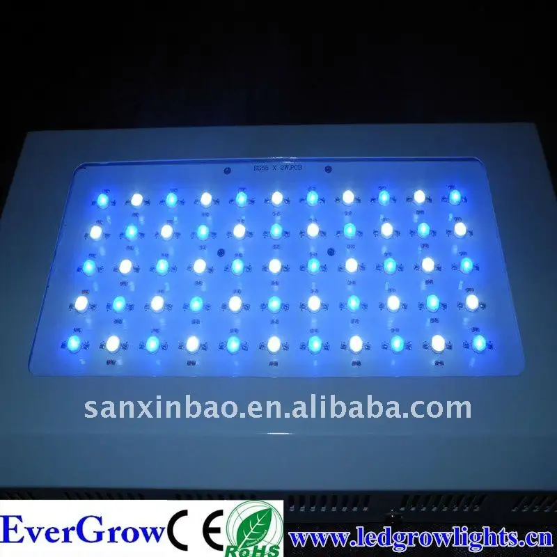 Dimmerabile 10000k-14000k due switch ad alta potenza marine 120w led acquario serbatoio luce