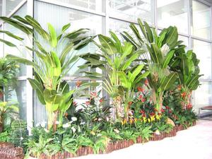 新しい人工植物トラベラープラスチックバナナツリー