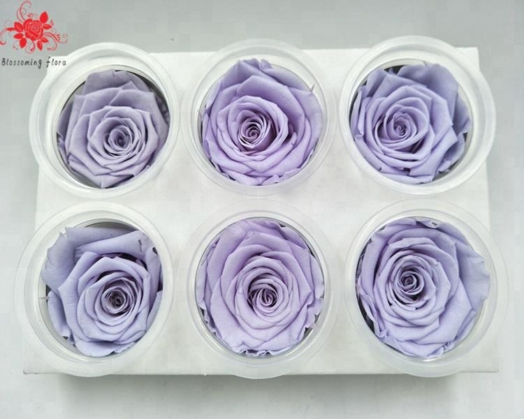 Taro สีม่วง