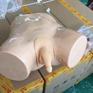 BIX-H1Dmedical Science <strong>Human</strong> Simulation Urethral Catheterization and Enema Training Model for Teaching and Learning Anatomy - Product Image 5