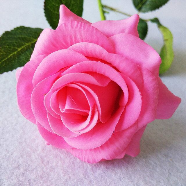 rosa oscuro