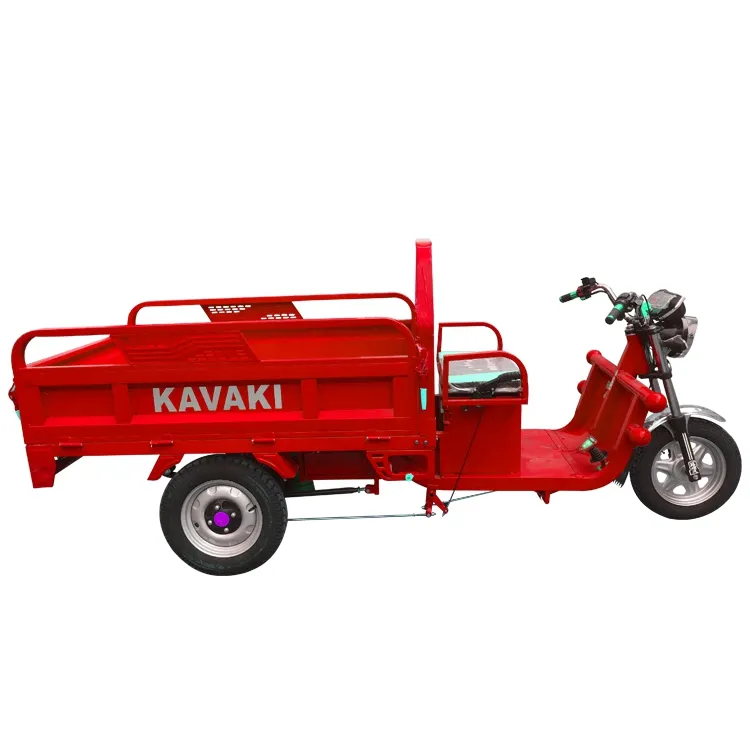 Caminhão de carga elétrico sem escova, caminhão grande para carga de bicicleta/bakfiets/motocicleta com três rodas para venda