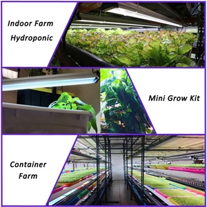 <span class=keywords><strong>EDK</strong></span> hidroponik sera şerit led ışık için konteyner tarım hydrophonics