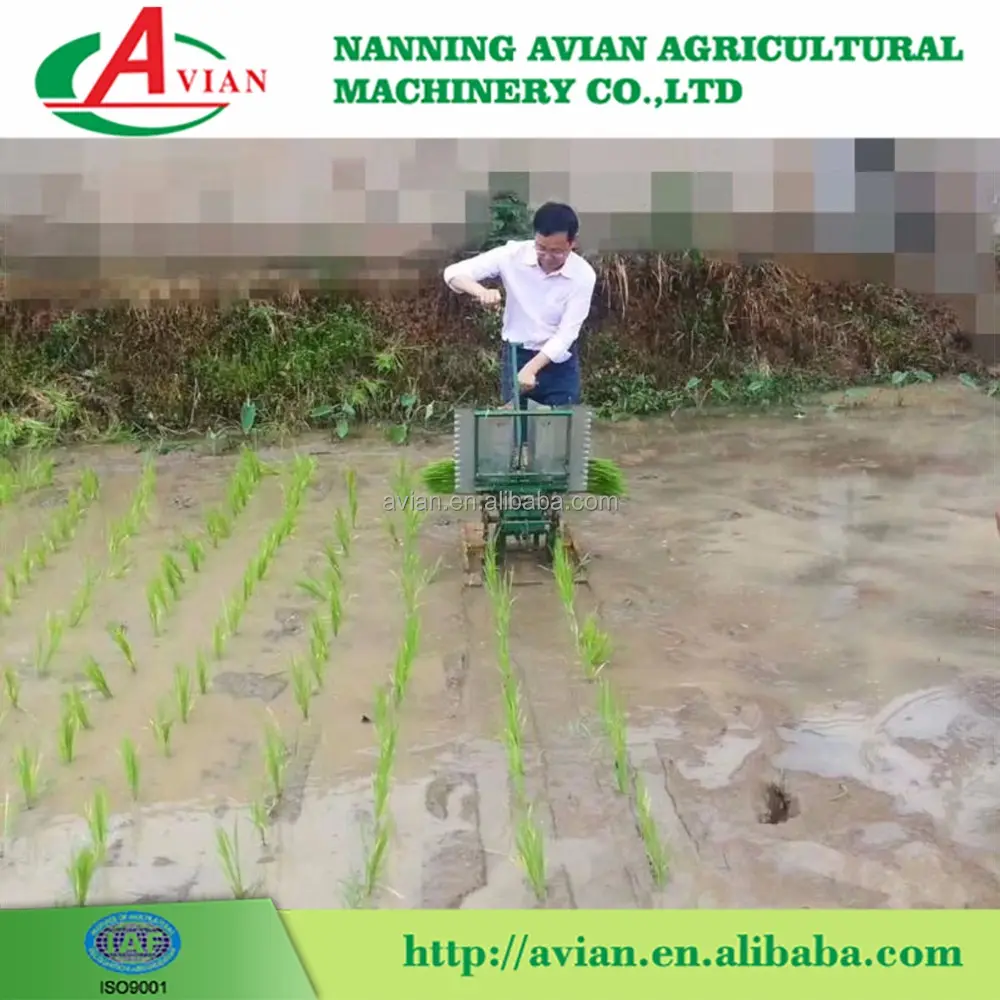 Hot Vendita di Buona Agricoltura Macchine Riso Planter prezzo/Riso Piantare Macchina/Paddy Rice Transplanter