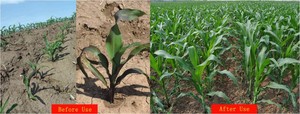 NPK suda çözünür gübre 20-20-20 bileşik gübre - Product Image 5