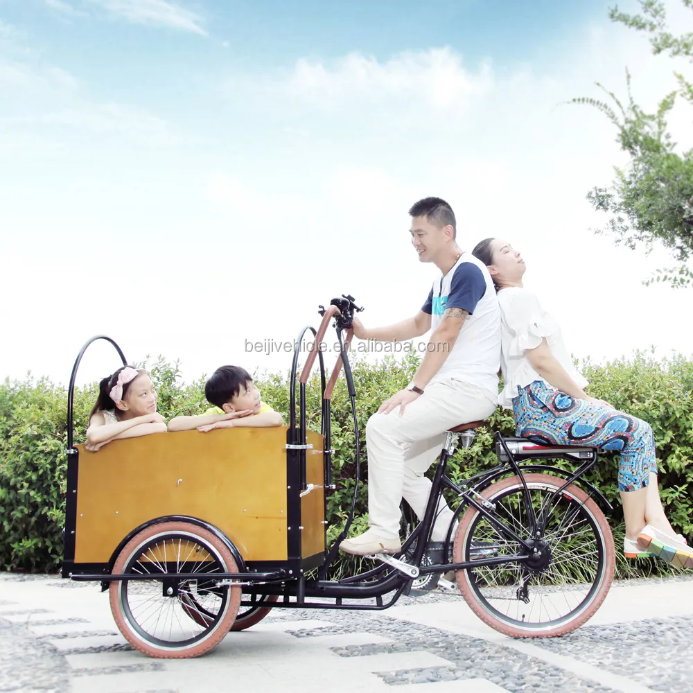 Sepeda Motor Tiga Roda Muatan Depan Keluarga CE Bakfiet Kargo Listrik dengan Kotak Kabin