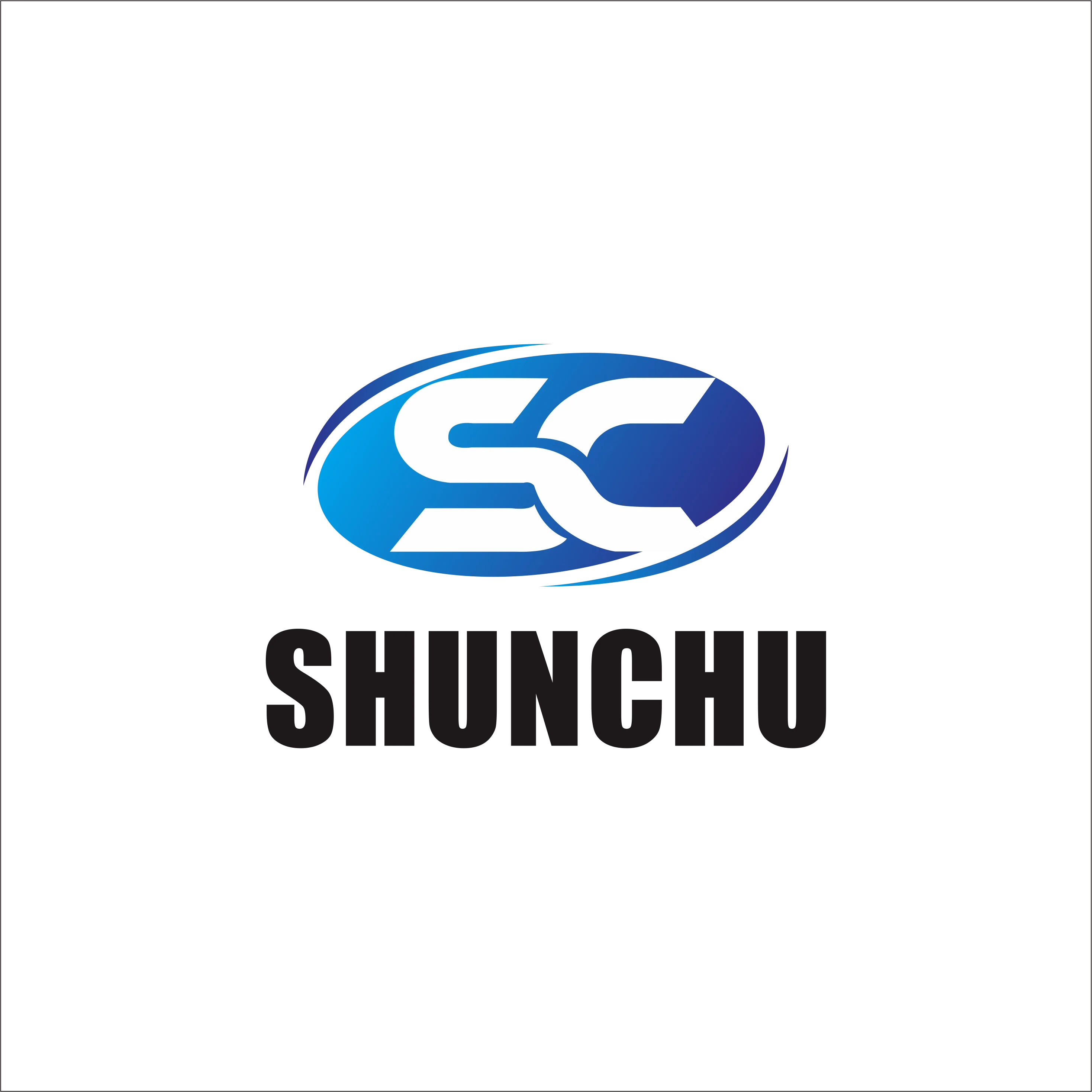 company logo