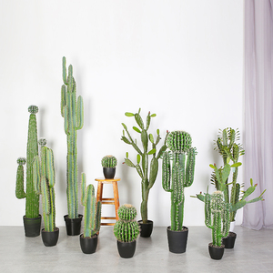 Sa mạc Nhà Máy 105 cm Thu Nhỏ Cây Xương Rồng Thực Tế Tên Khoa Học Cây Xương Rồng Trang Trí Văn Phòng - Product Image 6