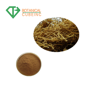 <span class=keywords><strong>Paniculate</strong></span> Swallowwort שורש תמצית/רדיקס Cynanchi Paniculati תמצית 100% Cynanchum וpaniculatum ס <span class=keywords><strong>P.E</strong></span>. - Product Image 3