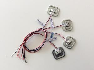 micro <strong>load</strong> <strong>sensor</strong> for fishing scale