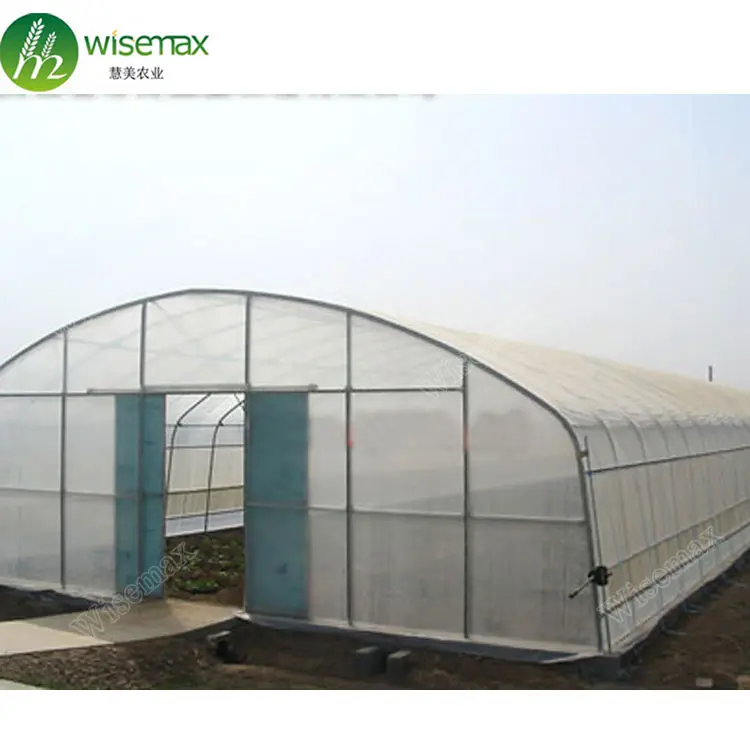 Structure solide 275g/m2 zinc manteau galvanisé polytunnel vente serres utilisées