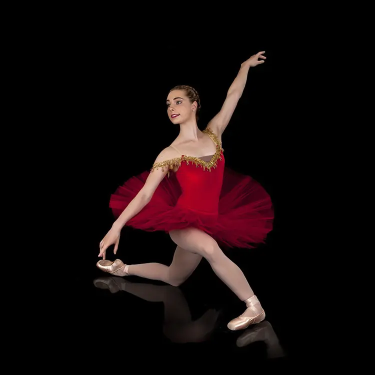 Tutu de Ballet professionnel en velours rouge, costume classique pour spectacle de danse, avec Tutu