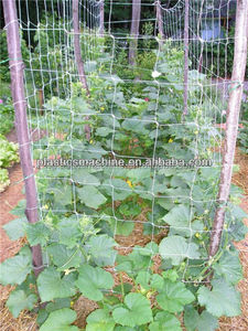 Línea de producción de red de escalada de plantas, máquina de red de plástico, malla estirada - Product Image 4