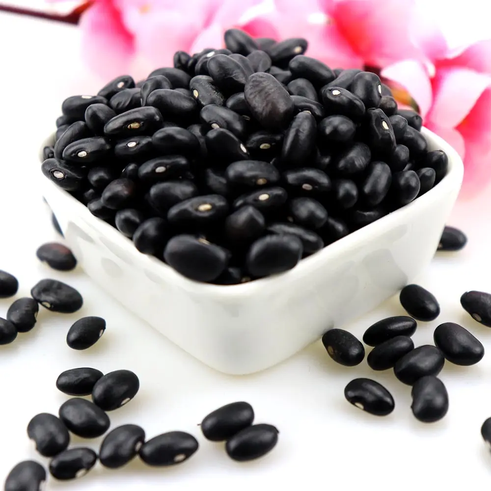 黒インゲン豆中国製造卸売価格