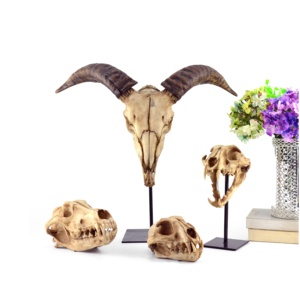 アンティーク<span class=keywords><strong>3D</strong></span>樹脂動物恐竜頭蓋骨ヘッドモデル家の装飾ヨーロッパSCULPTUREフォークアート