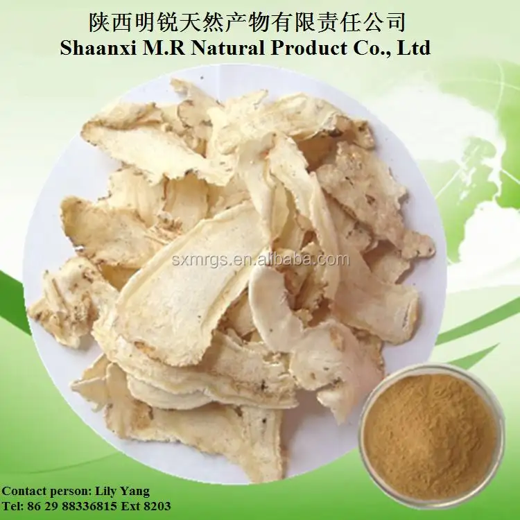 Hữu cơ và tự nhiên của trung quốc gingseng từ cây bạch chỉ, Angelicae Root (Dong Quai) Extract 1% Ligustilide