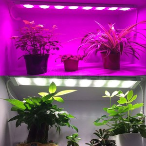 เต็มสเปกตรัม LED เติบโตไฟสำหรับ Garden เรือนกระจก Hydroponic ในร่มการเพาะปลูก - Product Image 5