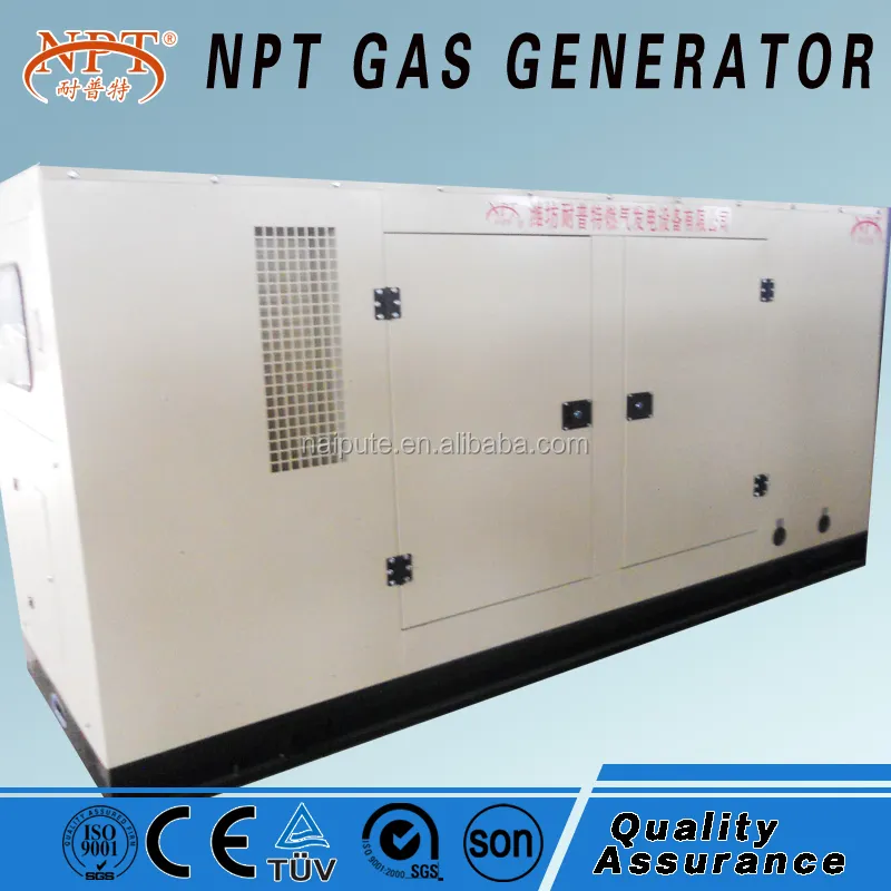 CE 100kW LPG Motor generator Preis