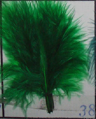 Vert émeraude