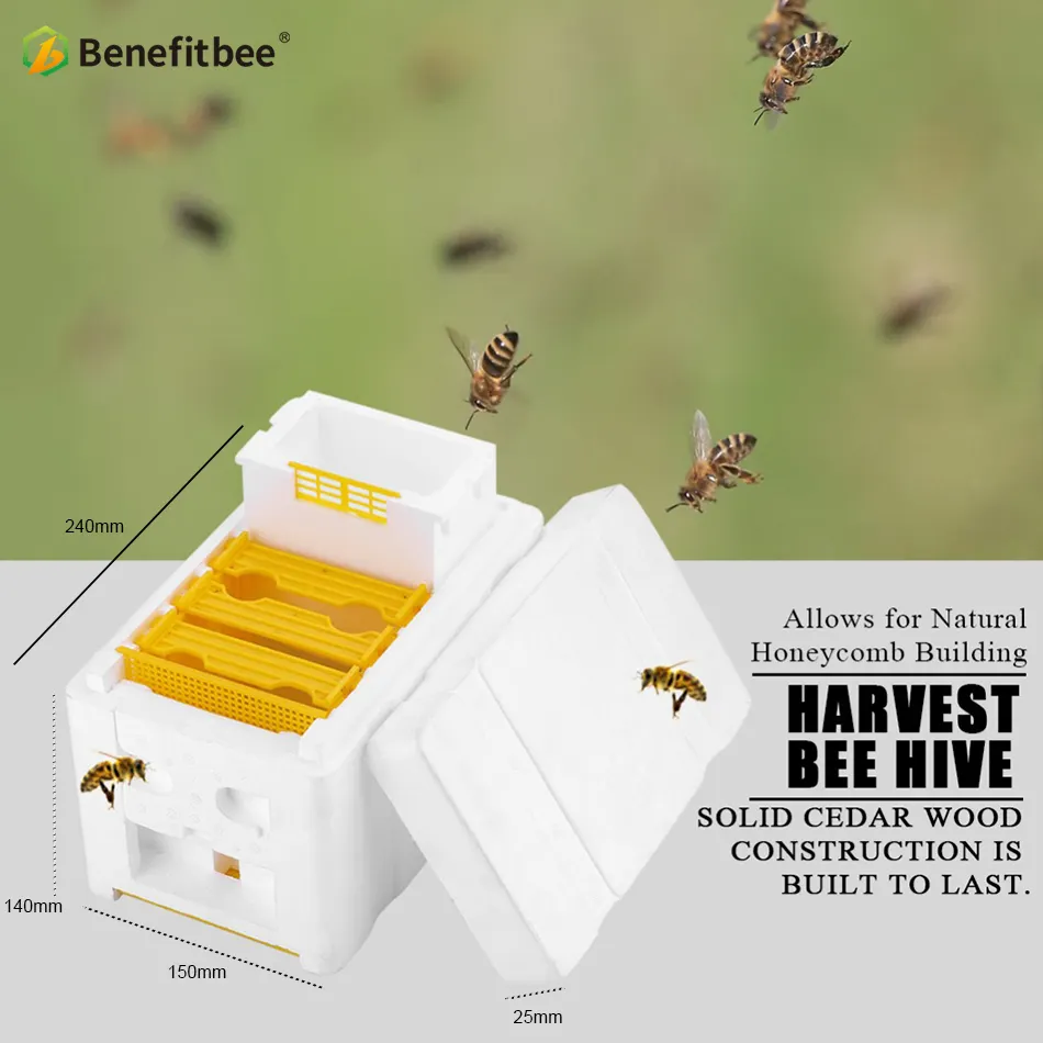 Arıcılık araçları ekipmanları çiftleşme kutusu arı yetiştiriciliği kutusu nuc kutusu polistiren arı kovanı