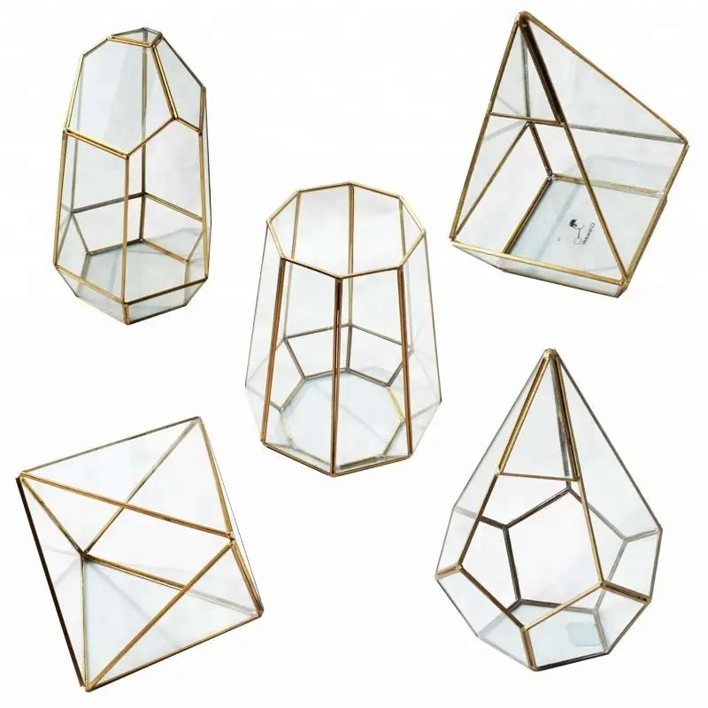 Unregelmäßige Glas Gold Geometrische Terrarium Für Tabletop Sukkulente Pflanzer