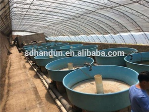 Çin Fabrika Herhangi Bir Boyut Fiberglas Büyük Plastik Balık Çiftliği <span class=keywords><strong>Tank</strong></span>ı Balık besleme Kullanımı