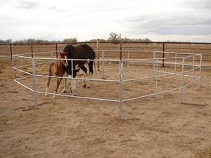 Adjustable Galbanized Cattle Loading <strong>Ramp</strong> with Sliding Gates - Product Image 4