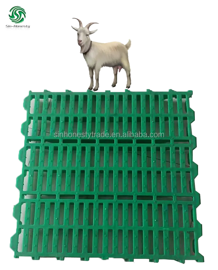 Suelo de plástico para ovejas, Slat, cabras, 50x60cm