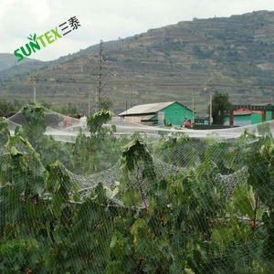HDPE con protezione UV colore nero maglia rete/giardino stagno acqua copertura rete/laghetto per pesci proteggere uccello barriera rete dello schermo - Product Image 4