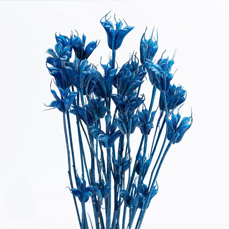 Flor seca de fábrica preservada octogão flor para arranjo de flores preservado