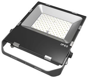 100 וואט חיצונית עמיד למים IP66 הוביל אורות מבול עם 5 שנות אחריות