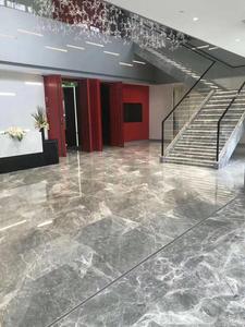 New Silver Mink Grey <strong>Marble</strong> Price Per square Meter
