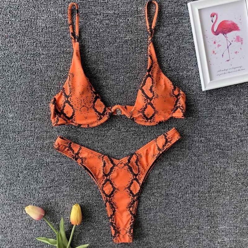 H1310148 Serpiente naranja