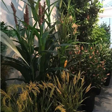 Vente chaude artificielle cultures/look Naturel décoratif artificielle plantes de maïs/plastique herbe de blé artificielle à vendre