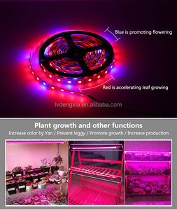 ספקטרום מלא SMD 5050 אדום כחול 660nm UV צמח לגדול תאורת led לגדול אור רצועת עבור microgreens חסה DC 12V
