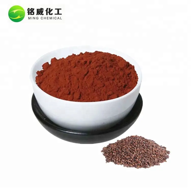 Natural High Quality Water Soluble Grape Seed Extract 95% Procyanidins Powder Used For Capsule