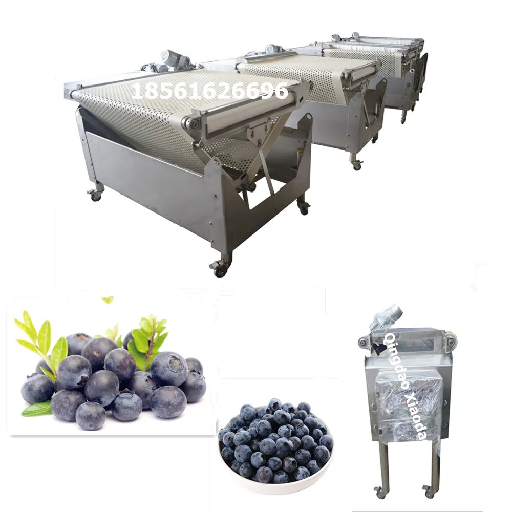 Máquina clasificadora automática de arándanos, cosechadora de arándanos para máquina clasificadora de arándanos, clasificador de cereza