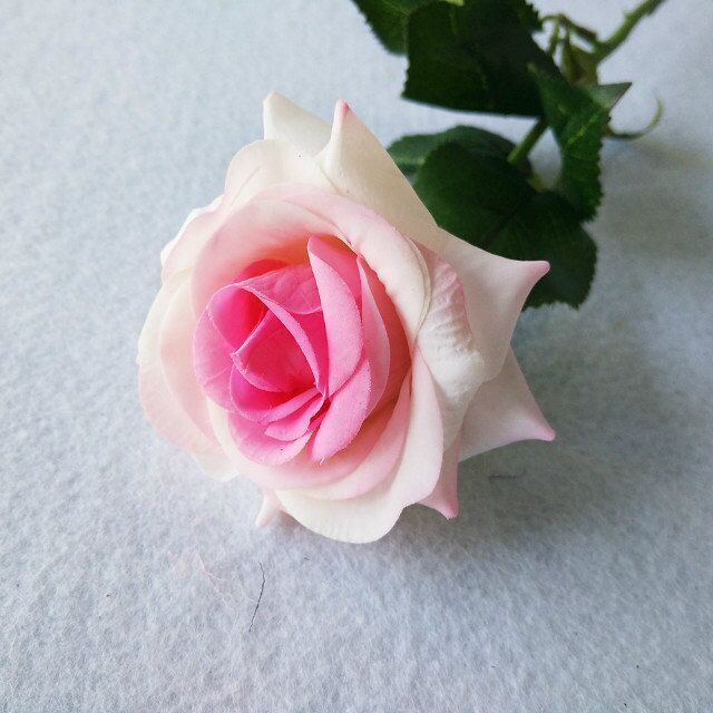 corazon rosa
