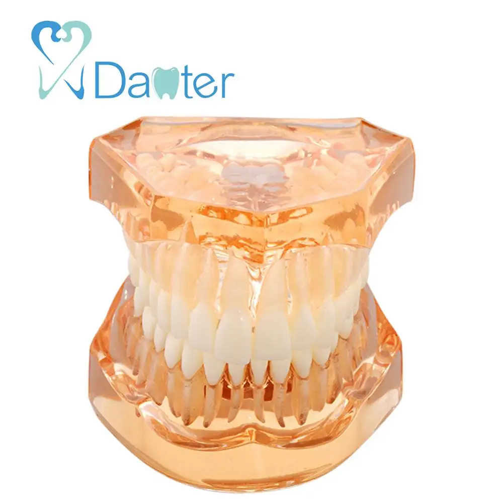 Fantástica calidad Modelo Dental suave goma extraíble con los dientes sin bisagra