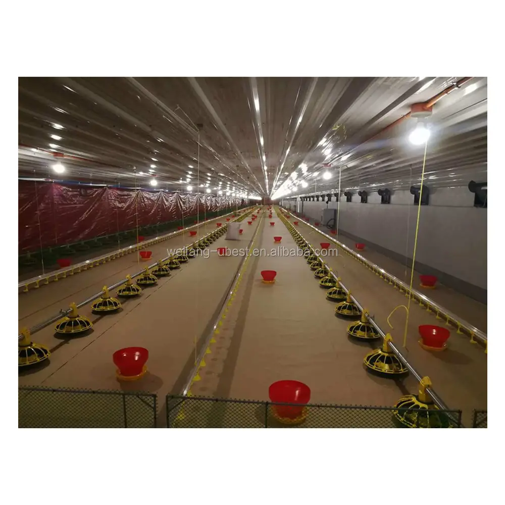 Yüksek Kaliteli Modern Broiler tavuk çiftliği kulubesi Tasarım Tavuk ev ekipmanları
