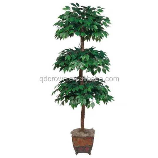 नि: शुल्क शिपिंग लाइव पेड़ jiawei बनाने कृत्रिम पेड़ों सस्ते benjamina पौधों बिक्री के लिए घर सजावटी बेंजामिन इनडोर नंदी संयंत्र