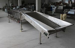 自动水果分拣机/柑橘类水果选择机/柑橘类水果清洗打蜡分拣机