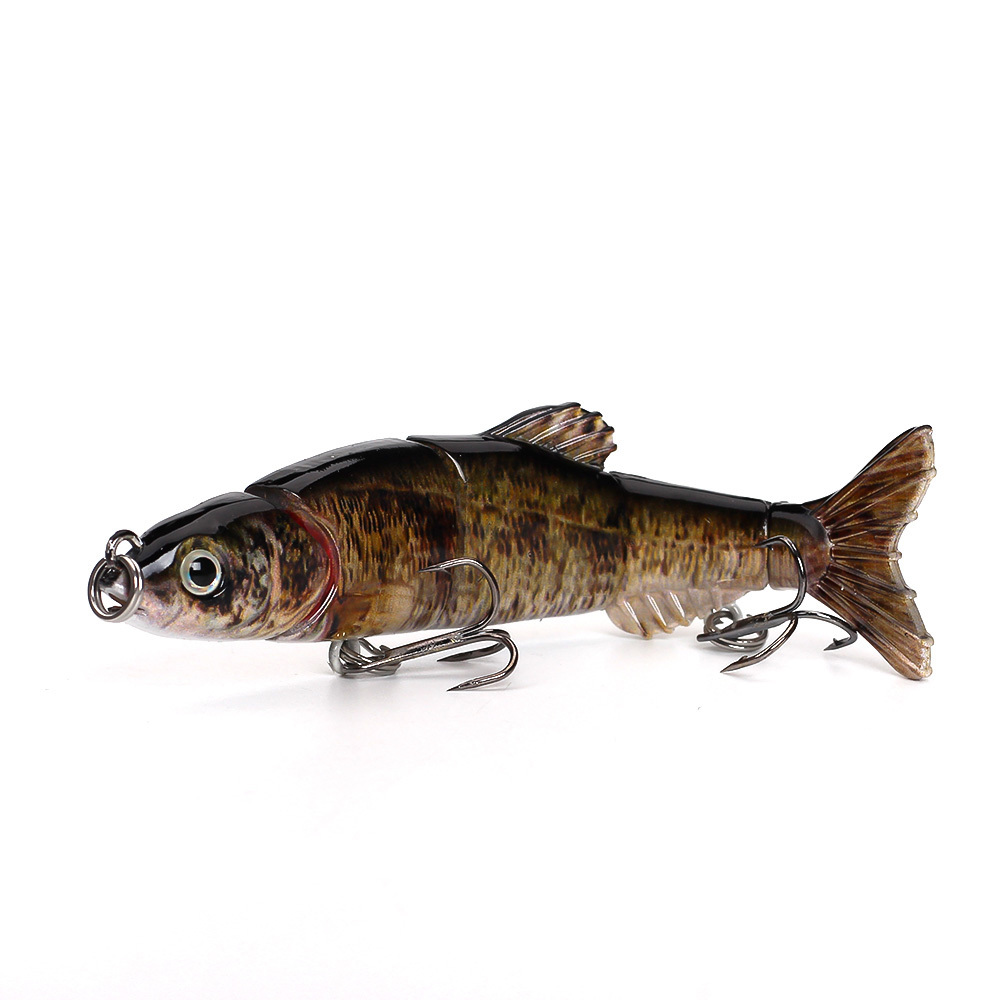 bronze minnow