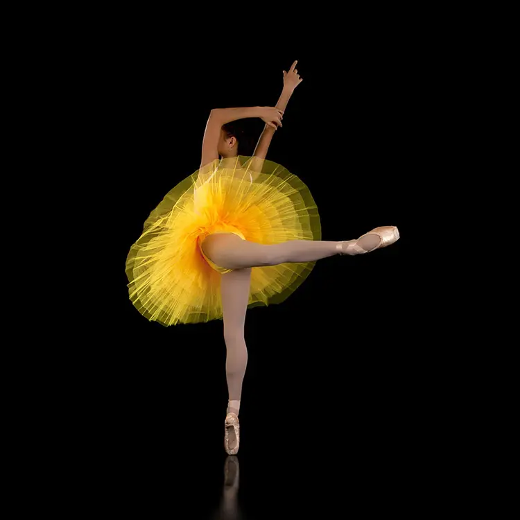 Swan Lake-tutú de Ballet profesional, amarillo
