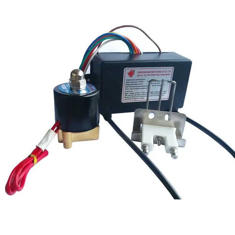 HD103 110V 220V bruciatore automatico del forno a gas accenditore elettrico a impulsi parti accendifuoco