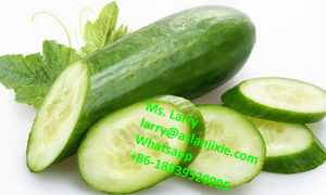 <strong>Celery</strong> Cutting Machine/carrot Slicer/cucumber Slicing Machine - Product Image 5