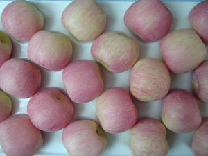 แอปเปิ้ลสีแดงสด (อร่อยสีแดง) MOQ: 40ft - Product Image 2