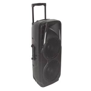 Trolley portátil Karaoke Subwoofer Speaker System com RGB LED Lighting Som Master Mixers 300W Potência de saída Comunicação AUX