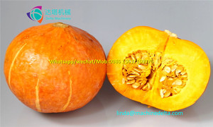 Pumpkin Seeds Extractor/harvester/<strong>separating</strong>/hulling Machine,watermelon Collecting Machine