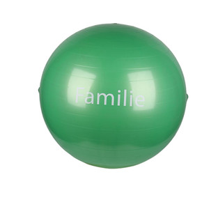 フィジオボールエクササイズ誕生ボールエクササイズジムボール - Product Image 5